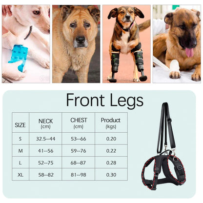 Auxiliary Belt for Canine and Feline Mobility Assistance Harness - Rehabilitation Training Tool for Disabled Pets