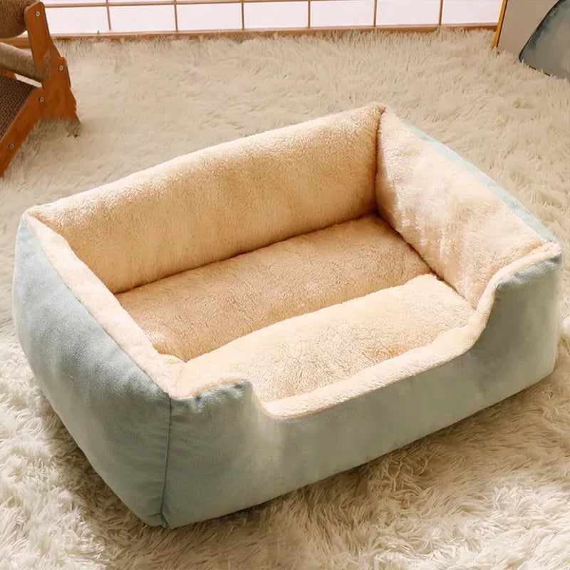 Pet Bed and Accessory Collection for Cats and Dogs