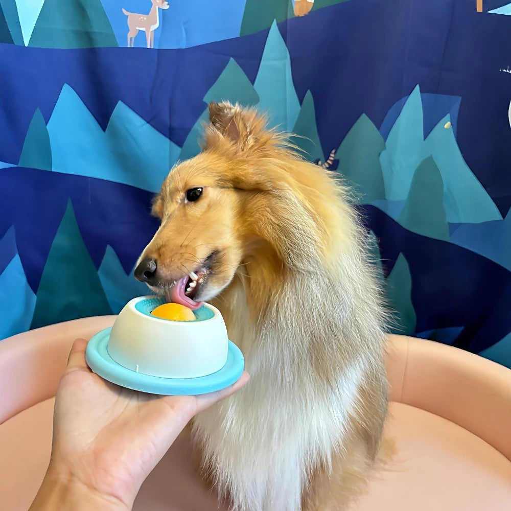 Interactive Dog and Cat Lick Mat Slow Feeder - Stimulation Toy and Dental Care Bowl