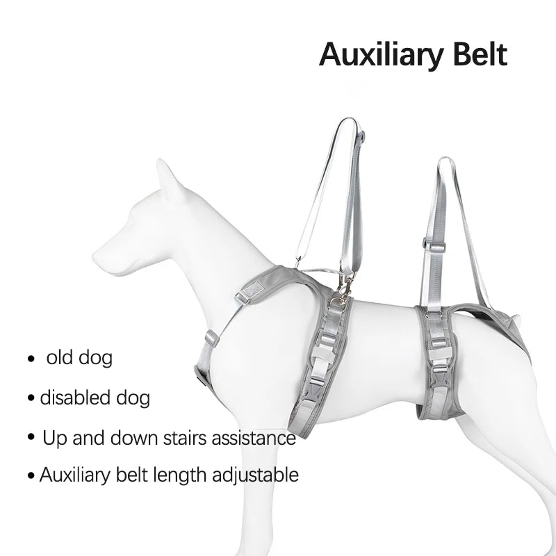Auxiliary Belt for Canine and Feline Mobility Assistance Harness - Rehabilitation Training Tool for Disabled Pets