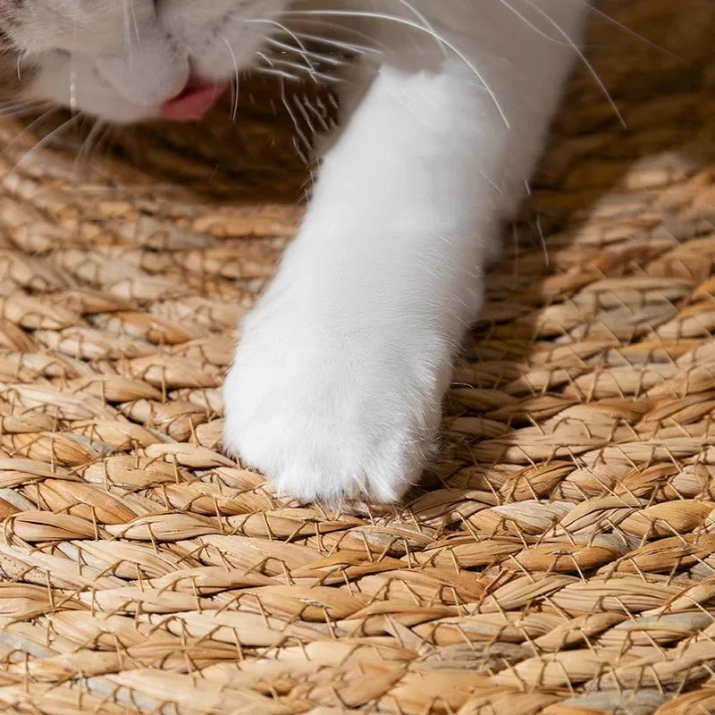 Rattan Cat Scratcher Mat - Nail Sharpening Board for Cats, Furniture Protector and Scratching Post