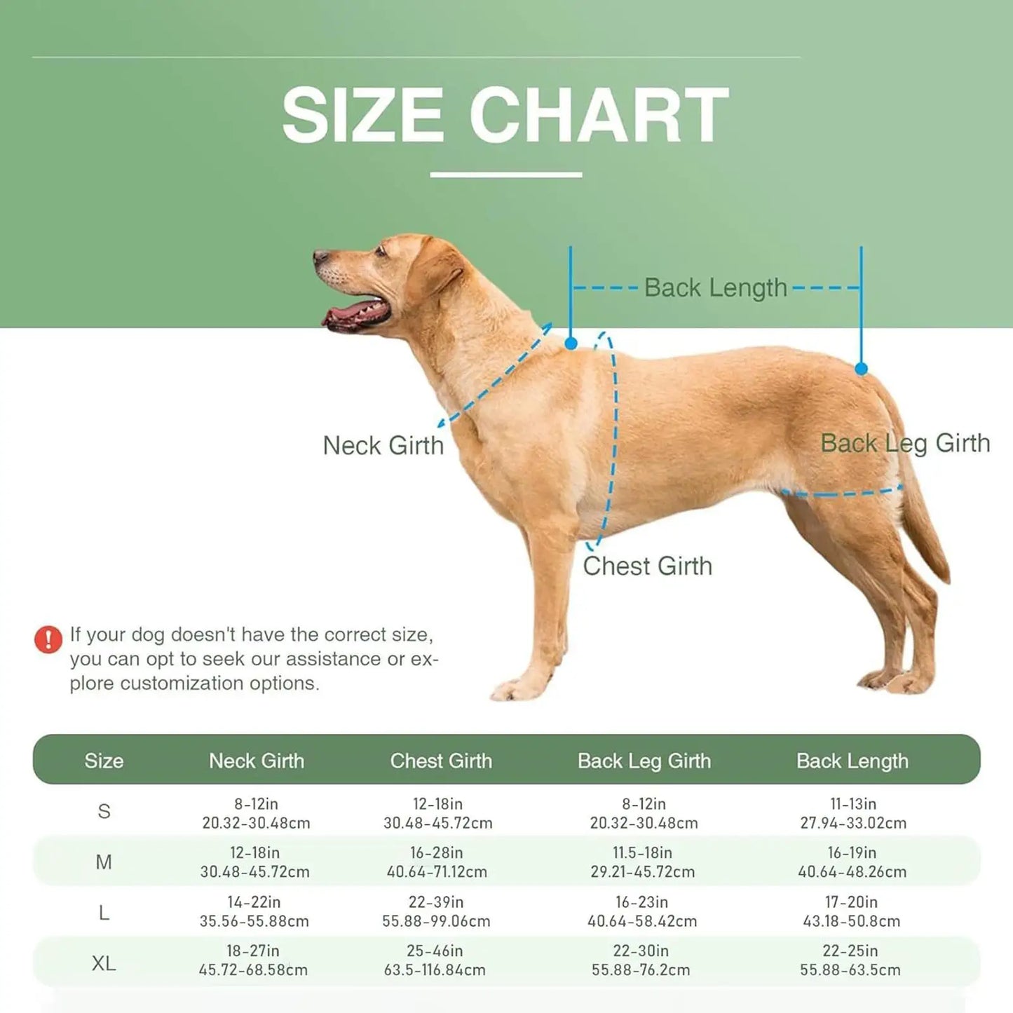 Adjustable Dog Back Brace for Spinal Stability - Small Support Harness for Walking, Jogging, and Travel