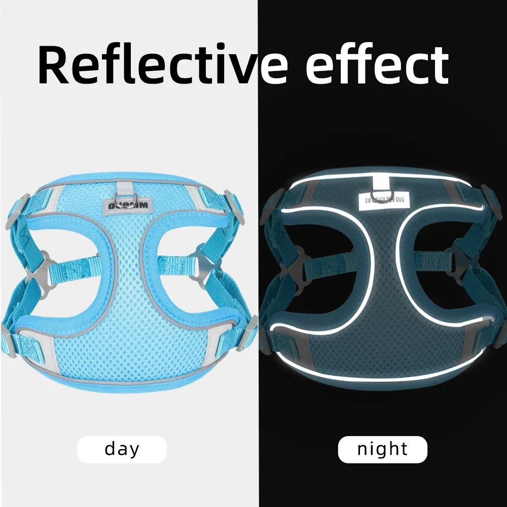 Reflective Dog Harness and Leash Set for Small to Medium Dogs and Cats - Chest Strap Vest for Outdoor Walking and Safety