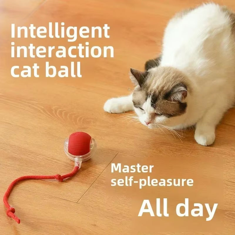 Rechargeable Interactive Dog and Cat Toy with Automatic Rolling Feature and Fake Tail Design