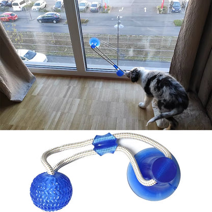 Interactive Suction Cup TPR Ball Dog Toys with Elastic Ropes for Dental Chewing and Cleaning