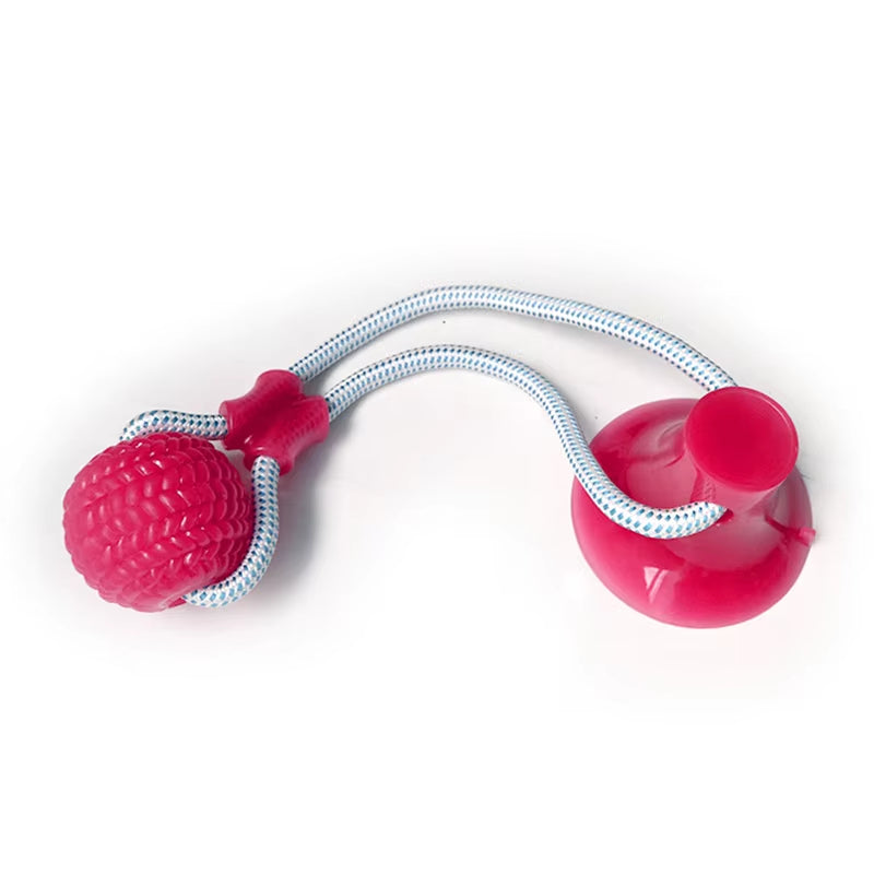 Interactive Suction Cup TPR Ball Dog Toys with Elastic Ropes for Dental Chewing and Cleaning