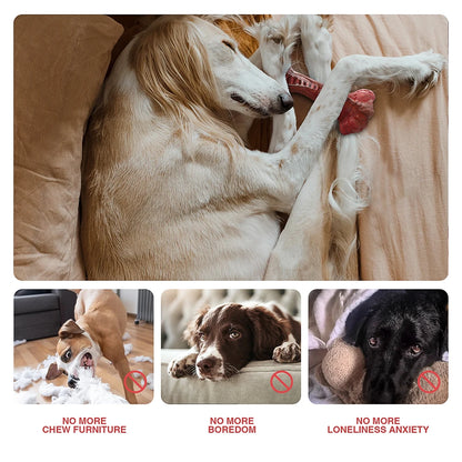 Indestructible Bone-Shaped Dog Toys for Aggressive Chewers - Interactive Nylon Toys for Large Dogs with Teeth Cleaning Features