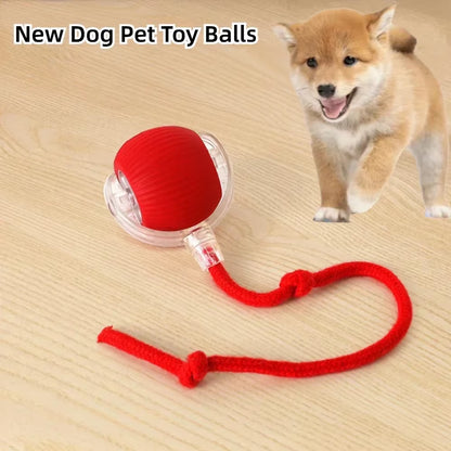 Rechargeable Interactive Dog and Cat Toy with Automatic Rolling Feature and Fake Tail Design