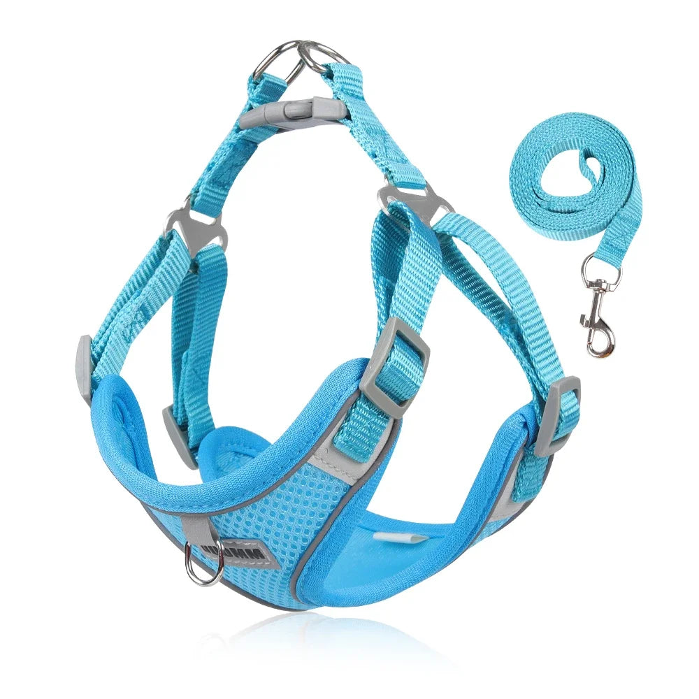 Reflective Dog Harness and Leash Set for Small to Medium Dogs and Cats - Chest Strap Vest for Outdoor Walking and Safety