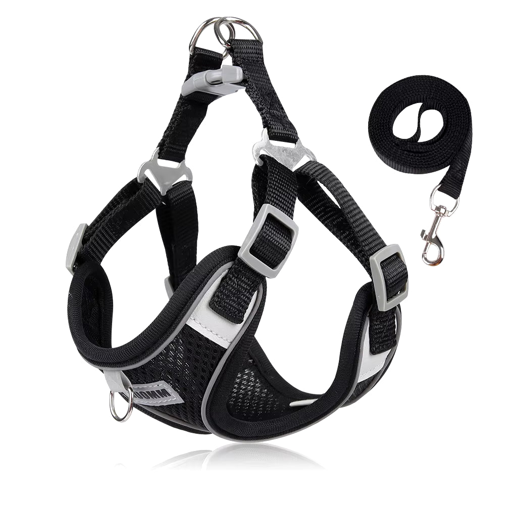 Reflective Dog Harness and Leash Set for Small to Medium Dogs and Cats - Chest Strap Vest for Outdoor Walking and Safety