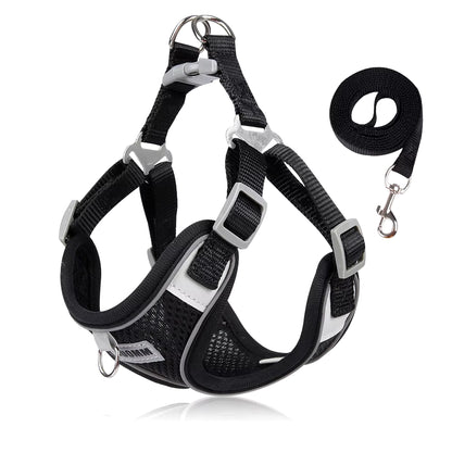 Reflective Dog Harness and Leash Set for Small to Medium Dogs and Cats - Chest Strap Vest for Outdoor Walking and Safety