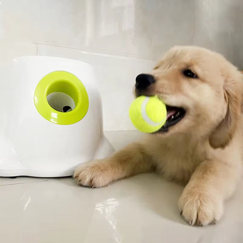 Automatic Tennis Ball Launcher for Dogs - Engaging Catapult Toy for Active Play with Pitbulls and Various Breeds